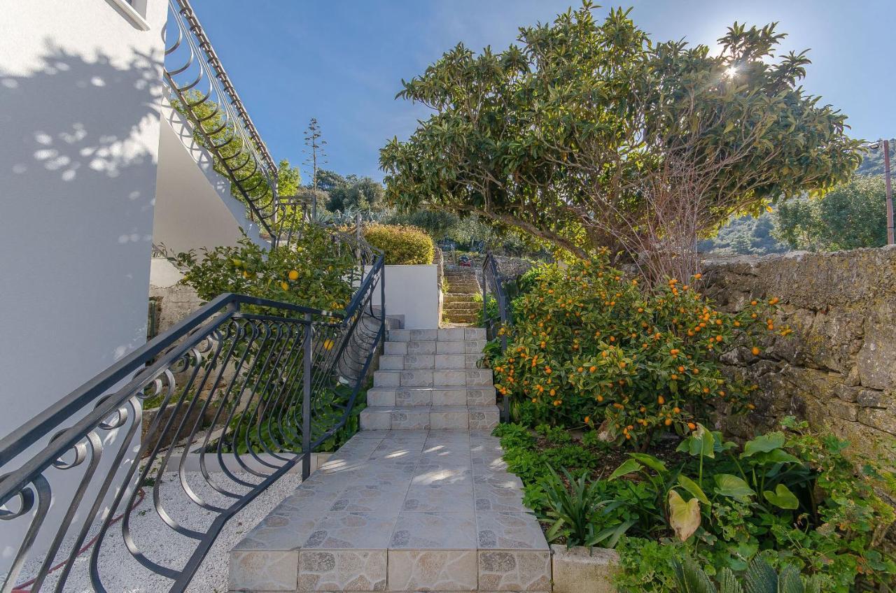 Apartments Ivanka Βις Εξωτερικό φωτογραφία